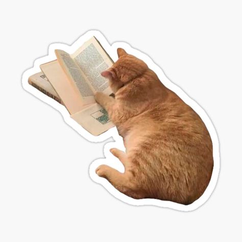 funny design perfect for people who loves self-education and motivation cat meme stickers .It can be also given as a gift to your bf/gf/best friend/relative who also loves self-education and motivation cat meme stickers. Single Stickers Aesthetic, Cute Journal Stickers Printable, Stickers For Laptop Printable, Sticker Ideas Whatsapp, Cool Stickers Printable, Stickers To Print Out, Cat Stickers Printable, Cute Stickers To Print, Cute Book Stickers