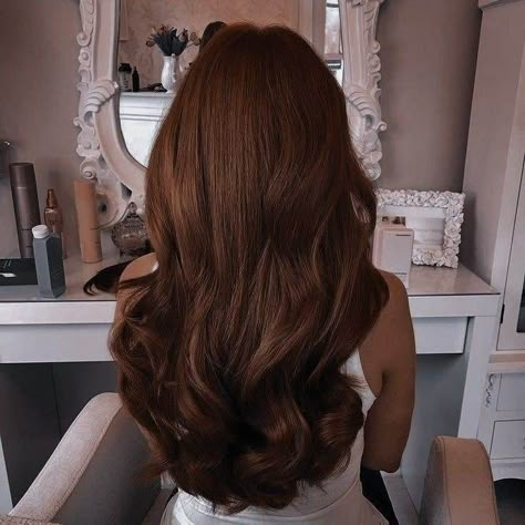 25 Hottest Hair Color Ideas For Brunettes - 168 Dark Auburn Hair, Warm Brown Hair, Chestnut Brown Hair, Rambut Brunette, Red Hair Inspo, Honey Brown Hair, Brown Hair Looks, Brown Hair Inspo, Hot Hair Colors