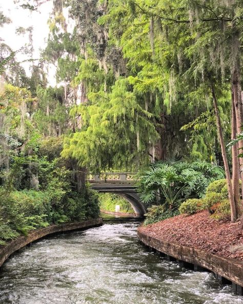 Your Guide to a Perfect Afternoon on Park Avenue Winter Park Italian Date Night, Hiking In Florida, Outdoor Dates, Loews Portofino Bay Hotel, Orlando Activities, Lake Eola, Winter Park Florida, Italian Restaurants, Winter Park Fl