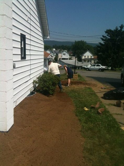 Yard Grading 101: How to grade a yard for proper drainage | Pretty Purple Door Yard Grading, Landscape Drainage, Yard Drainage, Sloped Backyard, Backyard Designs, Purple Door, Japanese Garden Design, Diy Yard, Home Landscaping