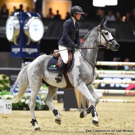 Such a pretty little grey horse in competition. Equine beauty. Cornet 39 Aesthetic Jumpers, Cheval Pie, Blm Mustang, Show Jumping Horses, Dream Horse, Horse Aesthetic, Grey Horse, Horse Blankets, Sport Horse