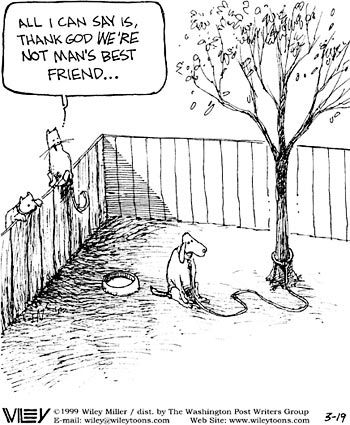 Love It!  Non Sequitur by Wiley Miller Dog Trolley, Build A Fence, Bully Breed, Dog Comics, Building A Fence, Cat Comics, Dog Fence, Non Sequitur, Bully Breeds