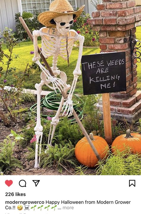 Halloween Mailbox Skeleton, Decorating Skeletons For Halloween, Halloween Skeletons Yard Scary, Skeleton Dress Up Ideas, Skeleton In Cauldron, Halloween Theme Decorations Outdoor, Lifesize Skeleton Ideas, Halloween Farm Animals, Life Size Skeleton Ideas