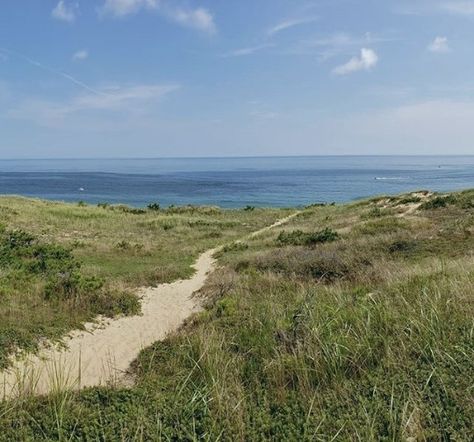 Old Cape Cod, Cap Cod, Cape Cod Aesthetic, Beach Walk, Nantucket, Cape Cod, Summer Days, East Coast, Summer Aesthetic