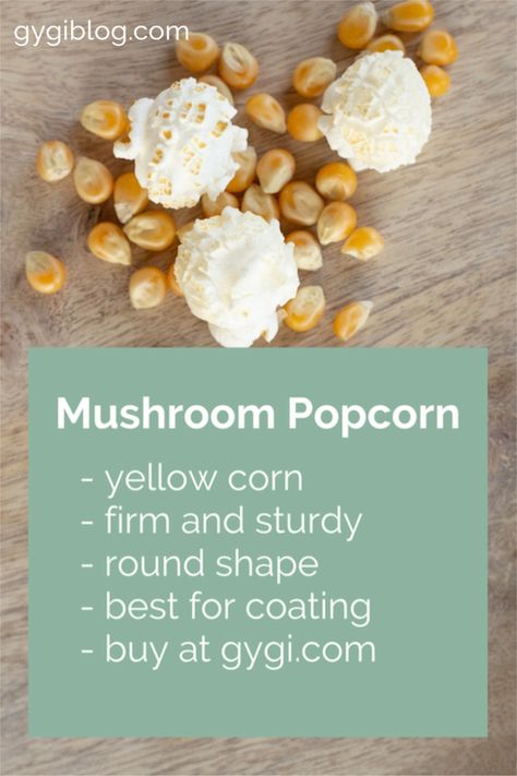 What Popcorn Kernel Should I Buy? Snowflake vs. Mushroom Popcorn | Types of Popcorn | Mushroom Popcorn | Snowflake Popcorn | Monster Mushroom Popcorn | Chocolate Covered Popcorn | Popcorn for Chocolate Covered Popcorn | Popcorn Mushroom, Types Of Popcorn, Monster Mushroom, Mushroom Popcorn, Covered Popcorn, Mushroom Seeds, Popcorn Chocolate, Chocolate Covered Popcorn, Popcorn Seeds