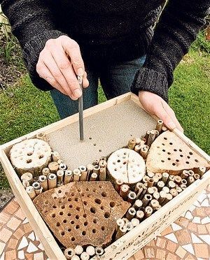 How to make a solitary bee hotel... Easy peasy! Follow these steps.  #bees #flowers #plants #life #garden Insect Hotel Diy How To Build, Solitary Bee House, Bug Houses, Bug Hotels, Organic Flowers, Diy Bee, Bee Houses, Bee Hotel, Solitary Bees