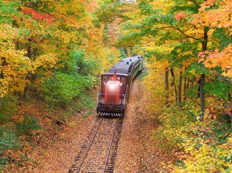 The 6 Best Day Trips For Families In N.Y.,N.J., Conn. « CBS New York Connecticut Fall, New England In The Fall, England In The Fall, Mystic Aquarium, Dinner Train, Peabody Museum, North Pole Express, Fall Vacations, Quality Family Time