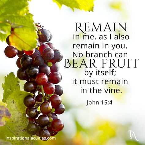 "Remain in me, as I also remain in you. No branch can bear fruit by itself; it must remain in the vine. Neither can you bear fruit unless you remain in me." - John 15:4 (NIV) John 15:4, Fruit Quotes, Beautiful Scriptures, John 15 4, Floral Bible Verse, Holy Quotes, Card Messages, Best Bible Verses, Great Inspirational Quotes