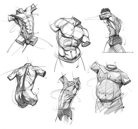 ArtStation - Sketches of the Male Torso Josh Black, Male Torso Anatomy, 남성 근육, Male Torso, Art Photography Portrait, Human Anatomy Drawing, Body Sketches, Human Anatomy Art, Anatomy Sketches