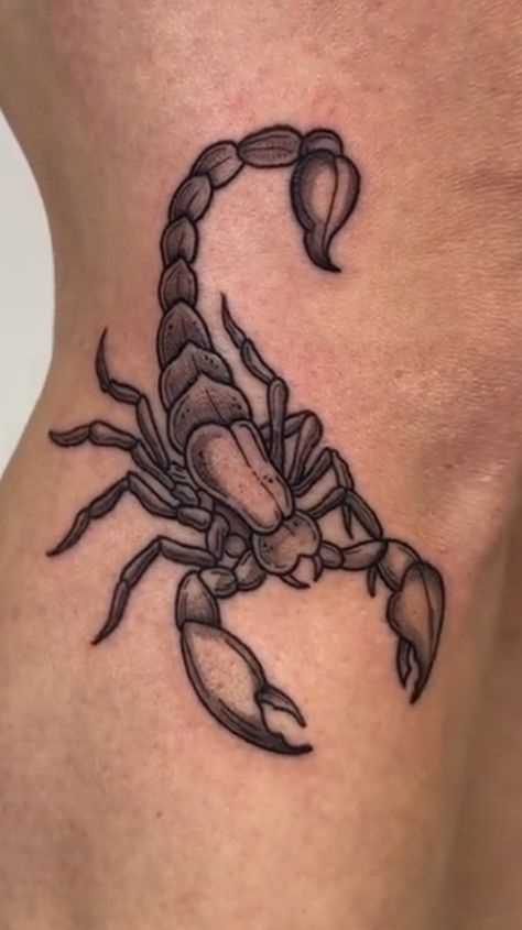 Kunst Tattoos, Scorpion Tattoo, Forearm Tattoo, Body Tattoos, Scorpion, Blackwork, I Tattoo, Skull Tattoo, Tatting