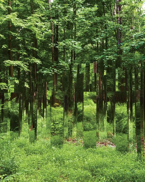 #GreatGardens Jeppe Hein’s Site Rotating Pavillion, 2008 🌳⁠ ⁠ Discover the photographer on Instagram : @jasonschmidtstudio for @wmag⁠ ⁠ Tap the link to discover sub-tropical landscapes to coastal retreats in Great Gardens on NOWNESS 🌱 Farm Photo, W Magazine, Forest Art, Outdoor Sculpture, Land Art, Environmental Art, Fun Ideas, Public Art, Art Moderne