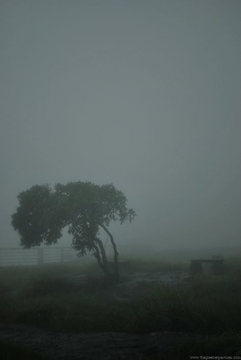 Stormy Weather Aesthetic, Guwahati City, Dark Weather, Dark Naturalism, Monsoon Rain, Monsoon Season, Dark Landscape, Northeast India, Dark Paradise