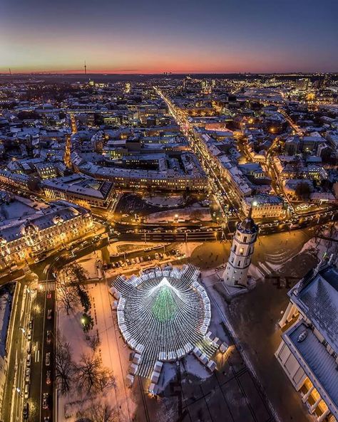 Christmas tree in Vilnius, Lithuania. 2016 December. Winter In Lithuania, Vilnius Winter, Lithuania Christmas, Vilnius Christmas, Vilnius Lithuania, Vacation Planner, Islamic Images, Car Ride, Winter Fun