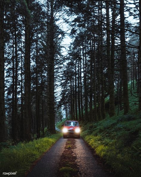 Car passing through Mull temperate rainforest | free image by rawpixel.com #picture #photography #inspiration #photo #art #forest Car In The Woods, Widget Pictures, Jungle Foliage, Temperate Rainforest, Forest Road, Image Ideas, Beautiful Forest, Summer Road Trip, Aesthetic Things