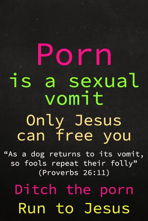 Proverbs 26, Only Jesus, John 10 10, Words Of Jesus, God Is Good, The Words, Proverbs, The Fool, A Dog