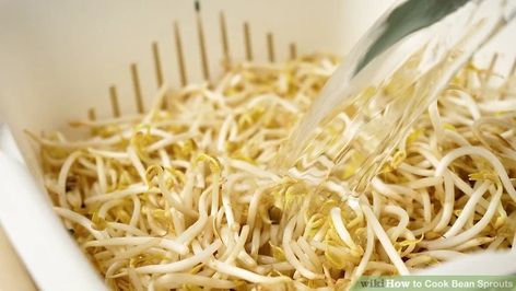 How To Cook Bean Sprouts, Bean Sprouts Recipes, Stir Fry Bean Sprouts, Bean Sprout Recipes, Sprouts Recipes, Shrimp And Rice Recipes, Japanese Salad, Ww Meals, Fried Beans