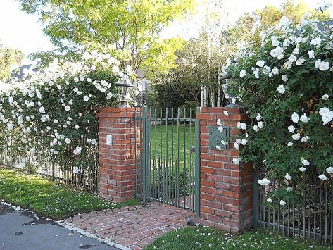 Brick Pillars Driveway Entrance, Brick Houses Exterior, Wall Designs Ideas, Brick Entrance, Fence Brick, Brick House Exterior Makeover, Brick Pillars, Houses Exterior, Brick Houses