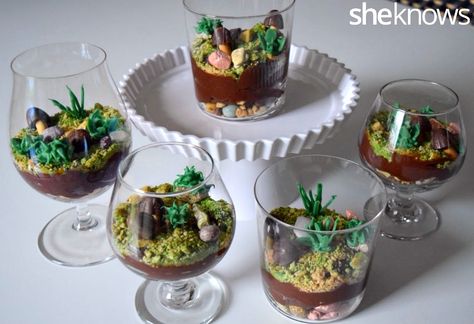 Edible terrarium cups complete with rocks, mushrooms and succulents will make you forget all about dirt cups Edible Terrarium, Edible Succulents, Graham Dessert, Kids Birthday Food, Succulent Wedding Cakes, Asian Supermarket, Succulent Cupcakes, Dirt Cups, Cake Recipes For Kids