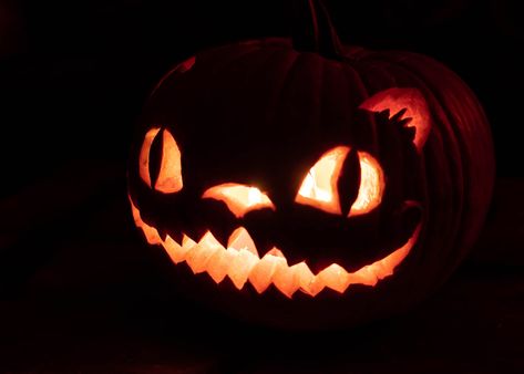 Purr-Fect Cat Pumpkin Carving Ideas Cat Pumpkin Carving Ideas, Cat Pumpkin Carving, Creepy Cat, Pumpkin Carving Ideas, Halloween Pumpkin Designs, Lantern Ideas, Cat Pumpkin, Carving Ideas, Warrior Cat