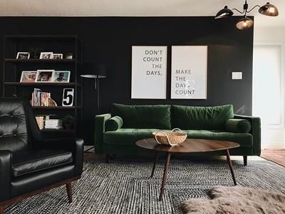 Living Room With Accent Color, Green Sofa Living, Green Sofa Living Room, White Furniture Living Room, Black And White Living Room, Modern Sofa Couch, Green Couch, Green Living Room, Room Green