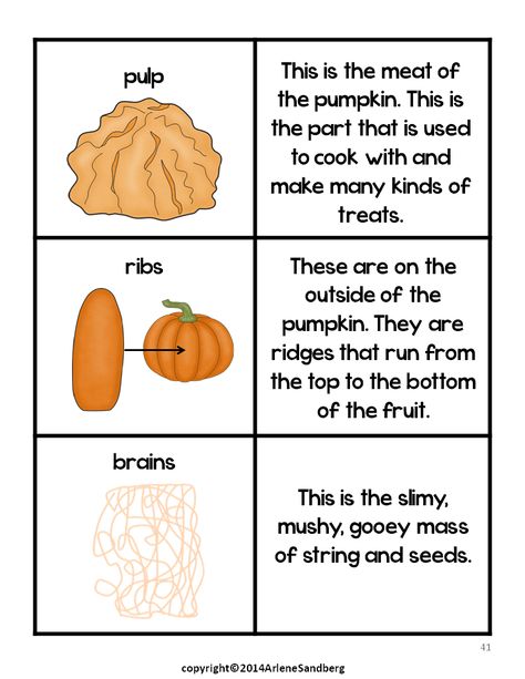 Classroom Freebies: Pumpkin Parts Picture/Fact Cards and Labeling Acti... Pumpkin Parts, Pumpkin Activities Preschool, Pumpkin Crafts Preschool, Pumpkin Facts, Preschool Steam, Pumpkin Learning, Pumpkin Unit, Parts Of A Pumpkin, Fall Lesson Plans