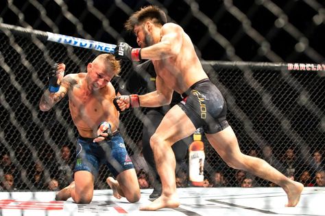 Khabib Vs Mcgregor, Donald Cerrone, Connor Mcgregor, Khabib Nurmagomedov, Ufc Fighter, Ufc Fighters, Combat Sport, Floyd Mayweather, Conor Mcgregor