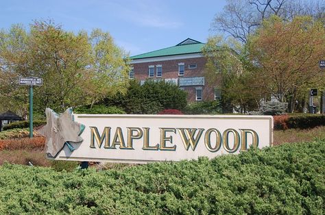 st. joseph school maplewood, nj | ... Everyone Flocking to Buy a Home in Maplewood, New Jersey? Read On Maplewood Nj, Buy A Home, Book Aesthetics, St Joseph, All Is Well, Small Town, Flocking, Small Towns, Home Buying