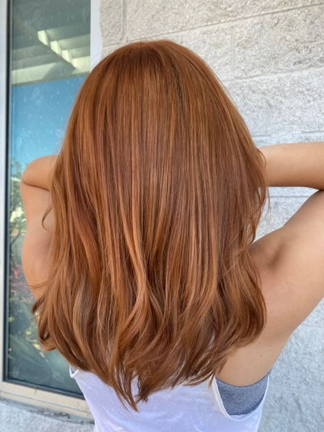 Ginger Spice | Ginger hair color, Hair color auburn, Aesthetic hair Rambut Brunette, Red Hair Inspo, Color Hairstyles, Ginger Hair Color, Hair Color Auburn, Strawberry Blonde Hair, Auburn Hair, Copper Hair, Hair Inspiration Color