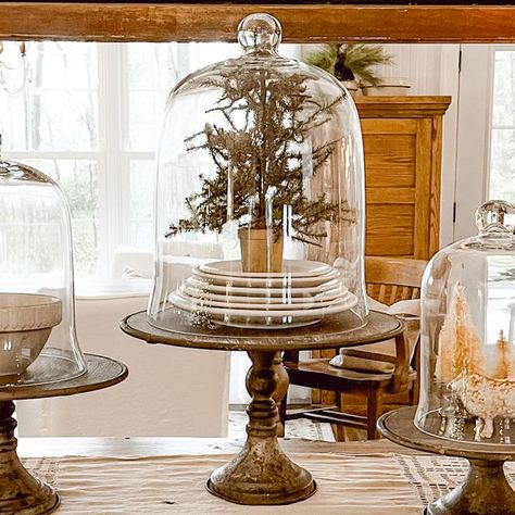 Glass Bell Jar Cloche with Round Display Pedestal Bundle Large | Antique Farmhouse Glass Cloche Decor, Cloche Ideas, Cloche Decor, Farmhouse Tabletop, Glass Bell Jar, Bell Jars, Display Pedestal, Unique Decorations, Glass Ware