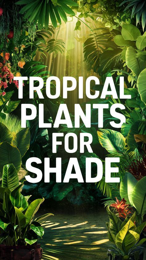 Looking for lush greenery to brighten up your shaded spaces? Learn how to add tropical plants like anthuriums and ferns to your garden or indoor oasis with our expert advice. Save this pin now for a decorating inspiration boost later! Shade Garden Florida, Tropical Shade Garden, Plants For Shade Outdoors, Flowering Shade Plants, Australian Tree Fern, Large Leaf Plants, Foxtail Fern, Shaded Garden, Tuberous Begonia