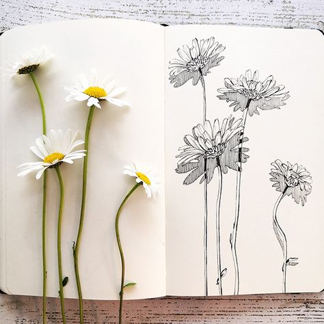 Botanical sketches 3 on Behance Botany Sketches, Trail Drawing, Nature Sketching, Field Sketch, Garden Sketch, Botanical Sketches, Botanical Journal, Botanical Study, Plant Sketches