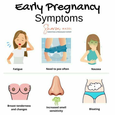 Pregnant Test Positive, Pregnancy Test Positive, Test Pregnancy, Fertilization Process, Healthcare Ads, Basic English Grammar Book, Pregnancy Facts, Newly Pregnant, Pregnancy Help