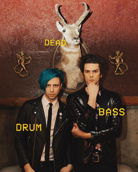 Ryan Seaman, The Brobecks, Dallon Weekes, Tag Yourself, Guitar Riffs, Music Is My Escape, Band Memes, Emo Bands, Paramore