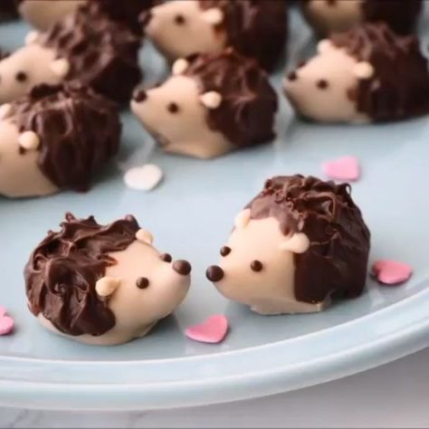 🍰 CAKES 🍰 COOKIES 🍰 CUPCAKES 🍰 on Instagram: “Hedgehog Truffles 🦔🦔🦔🦔 Watch this video tutorial and learn how to make these cuties 😍 Credit @asami_kamioka . Do you think they are cute?…” Hedgehog Cupcake, Sloth Cakes, Sonic The Hedgehog Cake, Hedgehog Cookies, Birthday Cake Tutorial, Hedgehog Cake, Cakes To Make, Hedgehog Birthday, Chocolate Pastry