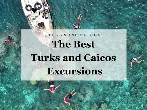 Whether you're a nature enthusiast, a thrill-seeker, or just need to unwind, these are our top-rated Turks and Caicos excursions. Join us! Turks And Caicos Packing List, Beaches Turks And Caicos, Nature Enthusiast, Cruise Excursions, Thrill Seeker, Caribbean Travel, Best Location, Turks And Caicos, Top Rated