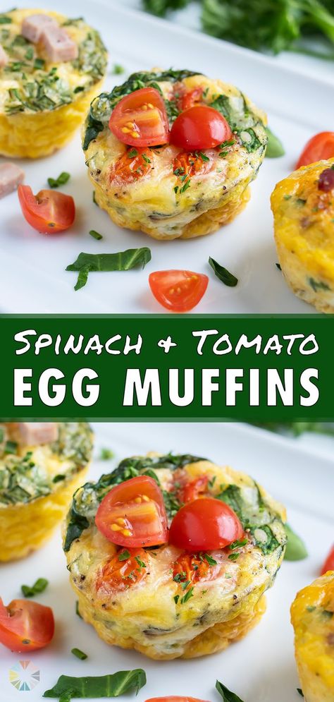 Breakfast Egg Muffins, Egg Cups Recipe, Tomato Breakfast, Tomatoes And Mozzarella, Tomato Egg, Egg Muffins Recipe, Egg Bites Recipe, Egg Muffins Breakfast, Egg Muffin