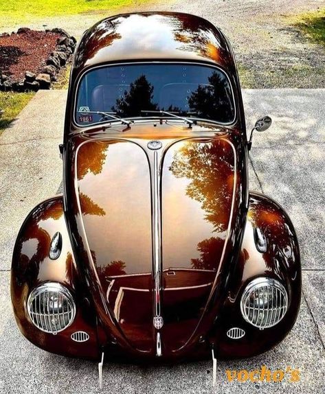 Custom Vw Bug, Volkswagen Beetle Vintage, Car Paint Colors, Volkswagen Beetles, Vw Art, Mudslide, Candy Paint, Vintage Vw Bus, Volkswagen Bug