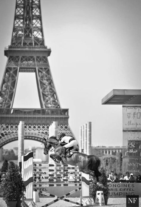 Black And White Horse Pictures, Equestrian Poster, Showjumping Aesthetic, Jumping Photos, Olympic Horses, Aesthetic Horse, Equestrian Jumping, Show Jumping Horses, Equestrian Aesthetic