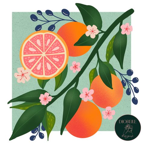 Grapefruit Drawing, Grapefruit Illustration, Quilt Applique, Botanical Illustrations, Block Printing, Botanical Illustration, Artsy Fartsy, Floral Designs, Custom Shoes