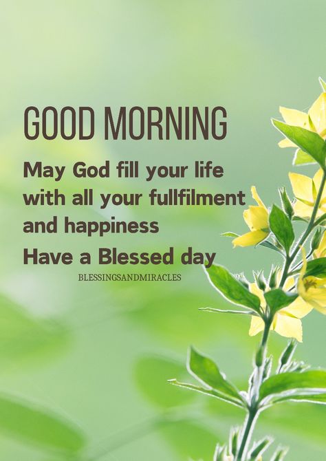 #goodmorning Vaseline Eyebrows, Good Morning Meaningful Quotes, Afternoon Messages, Monday Morning Blessing, Good Morning Prayer Quotes, Goodmorning Blessed, Morning Motivation Quotes, Inspirational Scriptures, Morning Words