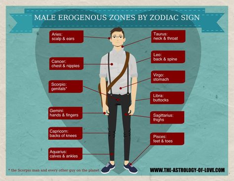 Male erogenous zones Perfect First Date, Scorpio Man, Sagittarius Man, Cramps Relief, Pisces Man, Capricorn Man, Zodiac Signs Taurus, Gemini Man, Zodiac Signs Aries