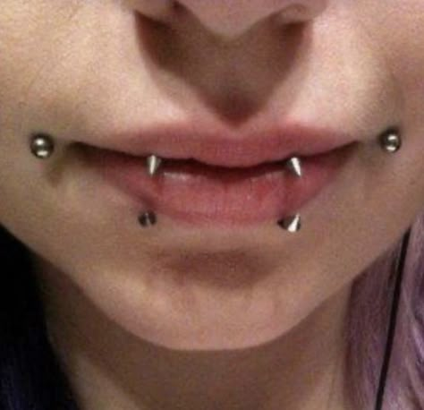 Joker Bites Piercing, Kitten Fangs Piercing, Lip Jewelry Piercing, Kitty Fangs Piercing, Joker Piercing, Raccoon Bites Piercing, Angel Fangs Piercing With Snake Bites, Snakebite Jewelry, Spike Helix Piercing