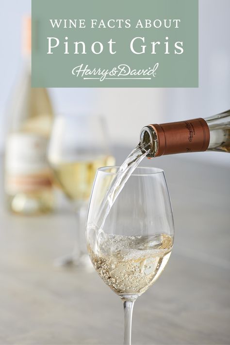 You never know when you might need to know facts about pinot gris wine or find the perfect pinot grigio food pairing. Save this basic wine guide for just such an occasion! Pinot Gris Pairing, Wine Facts, Harry & David, Pinot Noir Grapes, Wine 101, White Grape, Food Pairing, Pinot Gris, Wine Guide