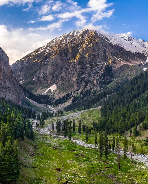 Janshae Meadows , Swat Valley - Pakistan Pakistan Swat Valley, Swat Valley Pakistan, Pakistan Landscape, Pakistan Aesthetic, Swat Pakistan, Pakistan Culture, Swat Valley, Beautiful Pakistan, Desi Aesthetic