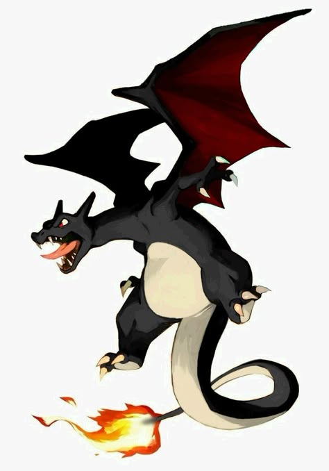 Shiny Charizard Art, Pokemon Charizard Wallpaper, Charizard Wallpaper, Shiny Charizard, Shiny Pokémon, Pokemon Battle, Pokemon Firered, Pokemon Fusion Art, Pokemon Dragon