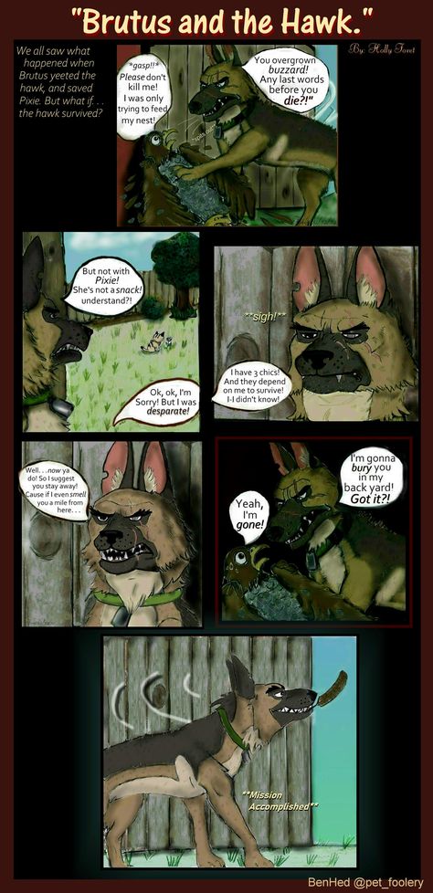 Pixie And Brutus Comic, Pixie Brutus, Brutus And Pixie, Pet Comics, Pet Foolery, Pixie And Brutus, Andy's Room, Online Comics, Military Dogs