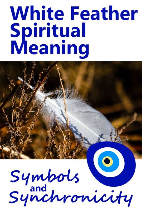 White Feather Spiritual Meaning Feather Spiritual Meaning, White Feather Meaning, Things To Learn About, Spirit Guides Meditation, Finding Feathers, Feather Meaning, Spirit Animal Meaning, Animal Meanings, Things To Learn