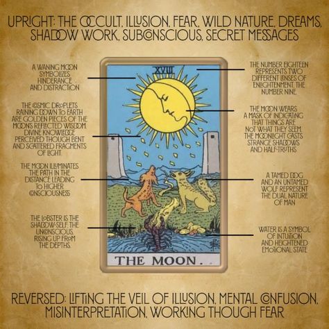 Tarot Moon Card, The Moon Tarot Card Meaning, The Moon Tarot Meaning, Ancient Soul, Tarot Study, Tarot Moon, Card Symbols, Moon Tarot Card, Tarot Interpretation