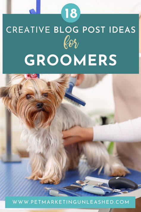 18 Creative Blog Post Ideas for Groomers | Pet Marketing Unleashed Pet Grooming Marketing Ideas, Dog Grooming Marketing Ideas, Dog Grooming Social Media Posts, Dog Grooming Instagram, Pet Marketing, Pet Grooming Business, Grooming Ideas, Dog Marketing, Dog Soap