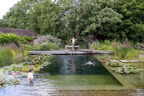 Water World: A Natural Swimming Pool, Lily Pads Included Swimming Pool Pond, Swimming Ponds, Natural Swimming Ponds, Aquatic Garden, Pool Pond, Pool Landscape Design, Natural Pond, Swimming Pond, Natural Swimming Pools